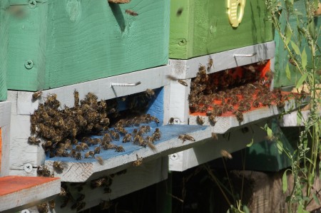 August 2012