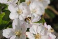/album/jar-2017/dsc-0818-jpg/