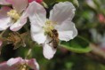 /album/jar-2017/dsc-0860-jpg/