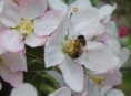 /album/jar-2017/dsc-0871-jpg/