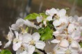 /album/jar-2017/dsc-0797-jpg/