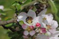 /album/jar-2017/dsc-0865-jpg/
