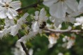 /album/jar-2017/dsc-0200-jpg/