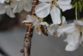 /album/jar-2017/dsc-0238-jpg/