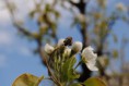 /album/jar-2017/dsc-0253-jpg/