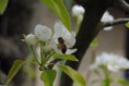 /album/jar-2017/dsc-0294-jpg/